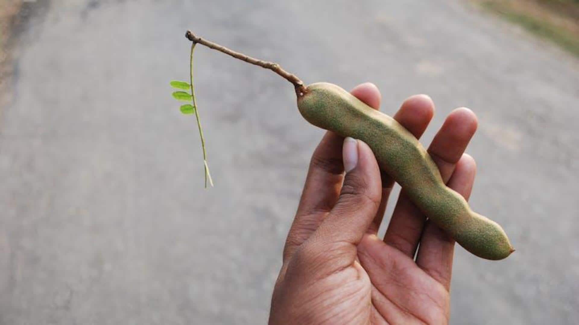 Why you must add tamarind to your dishes
