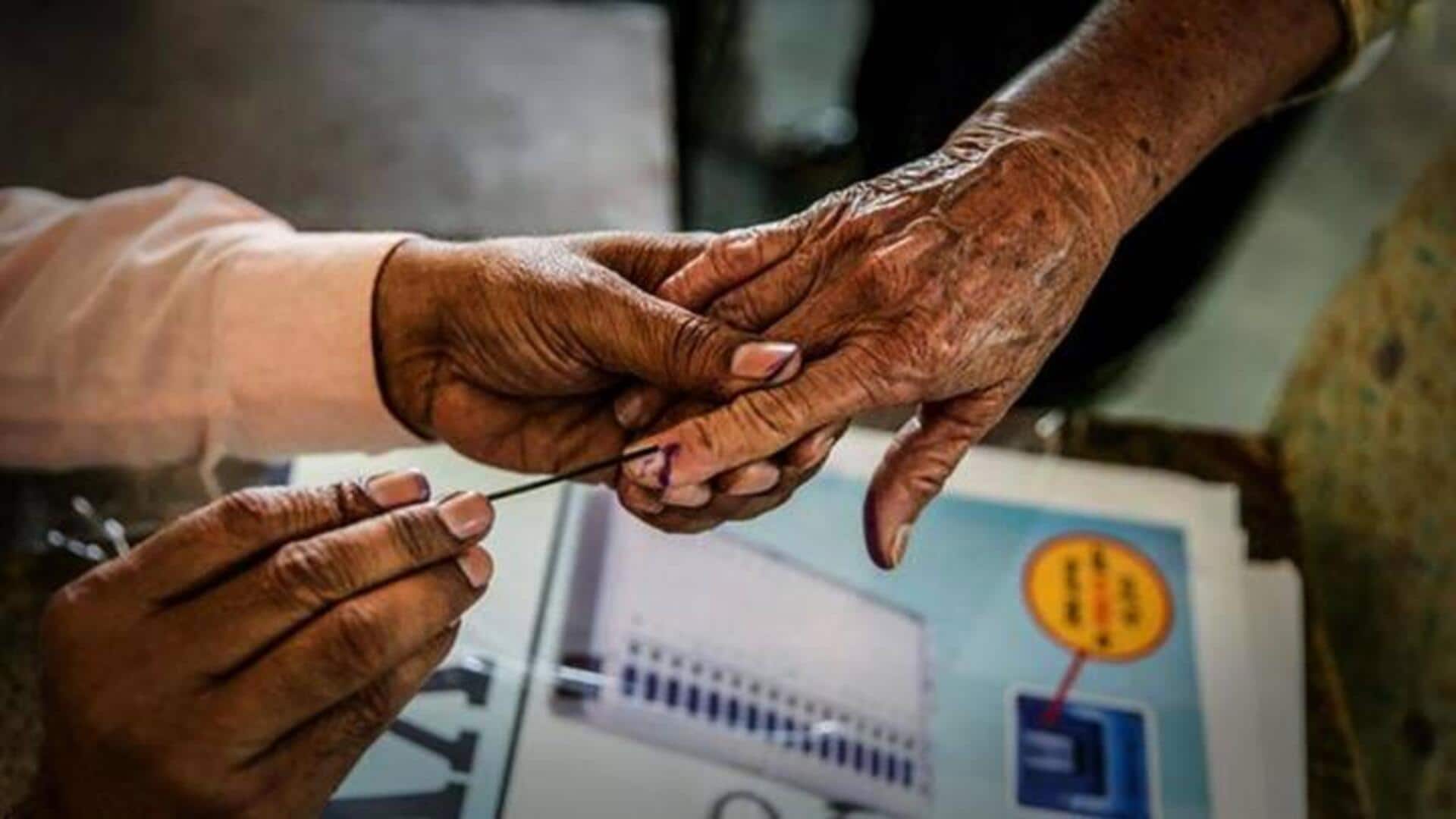 Indian elections: All about the indelible purple ink