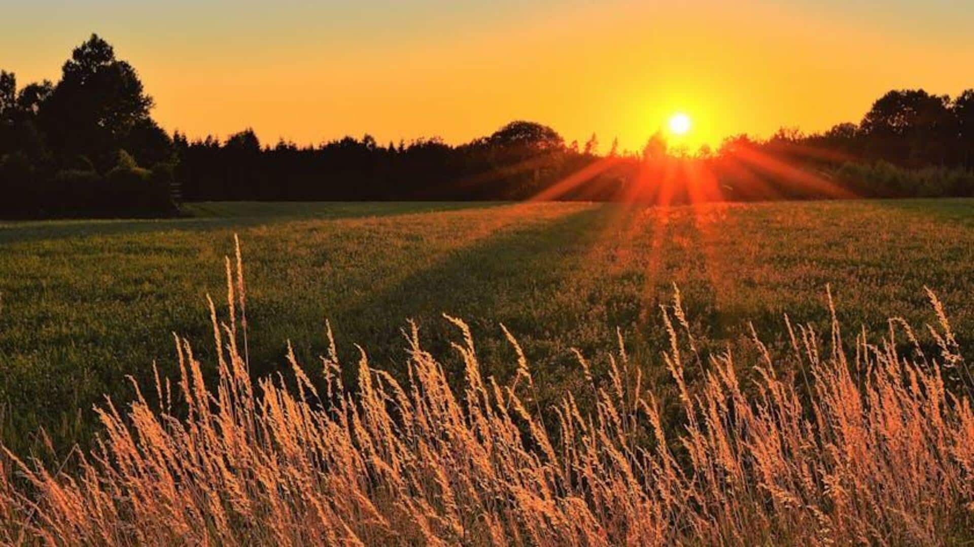 Fun things to do in Sweden Fun things to do in Sweden
