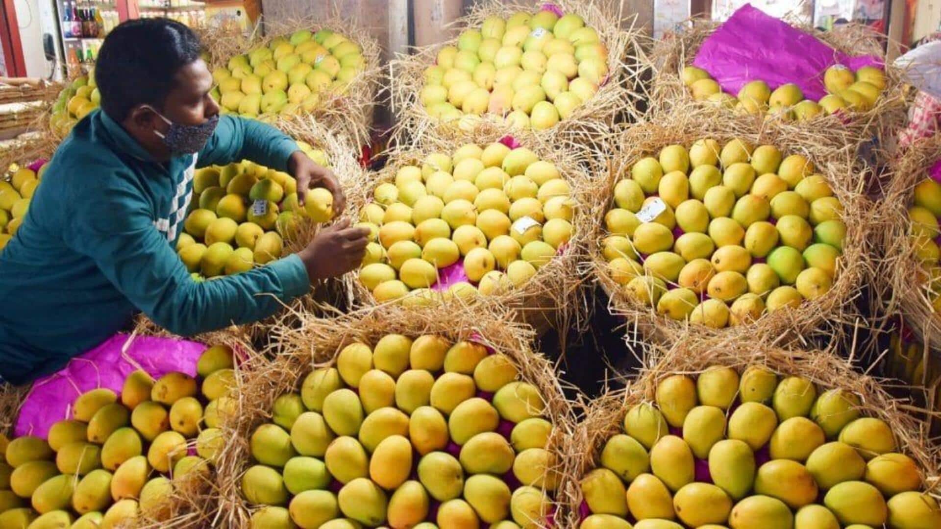 How fly led to Japan banning Indian mangoes after 20yrs 