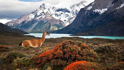 5 offbeat ways to experience Patagonia 