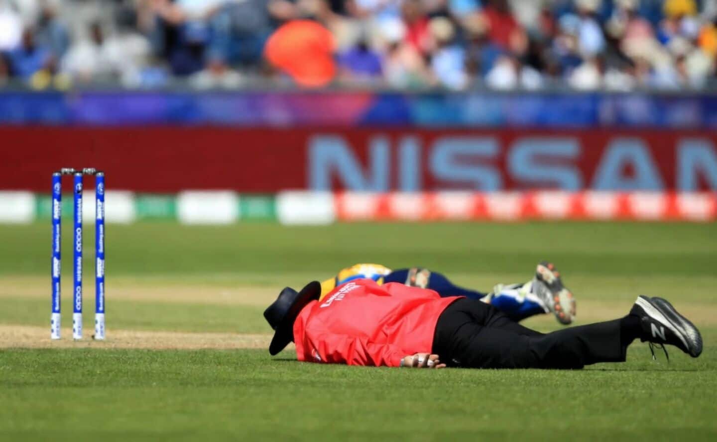 Cricket umpire Manik Gupta dies after bee attack in UP