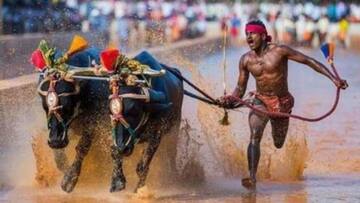 India's Boltesque buffalo jockey Srinivas Gowda declines sprint trial