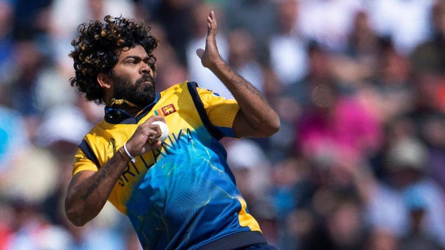Most hat-tricks in limited-overs cricket Most hat-tricks in limited-overs cricket