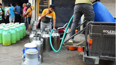 Mumbai, Tamil Nadu to see steep hike in milk prices
