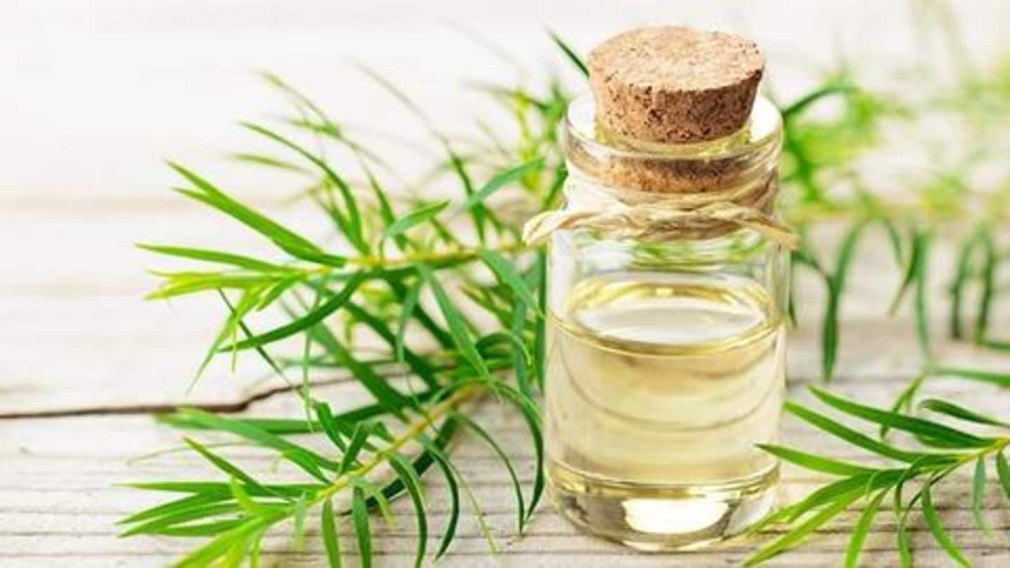 Five benefits of tea tree oil for skin
