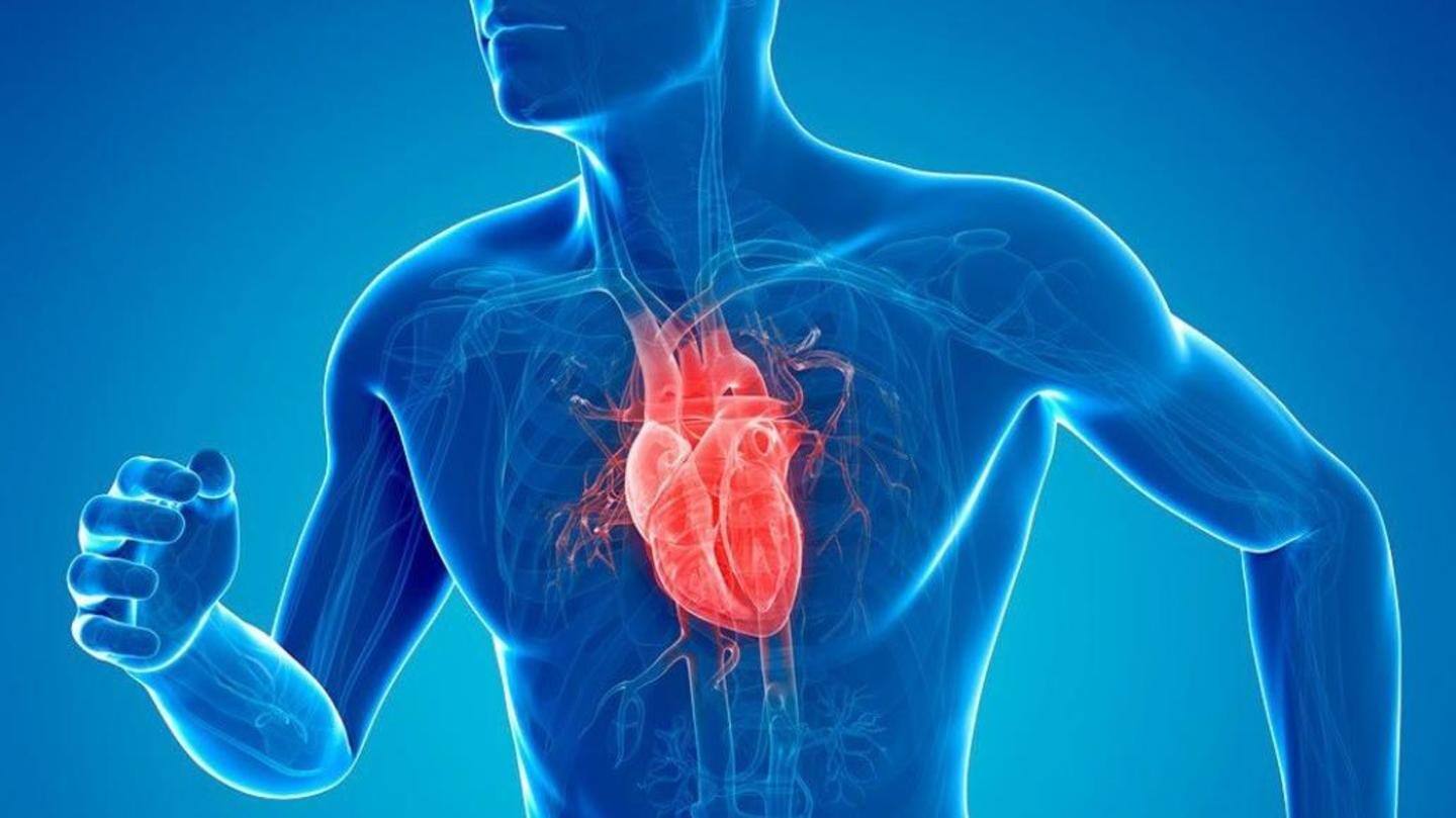 Prevents heart-related conditions Prevents heart-related conditions