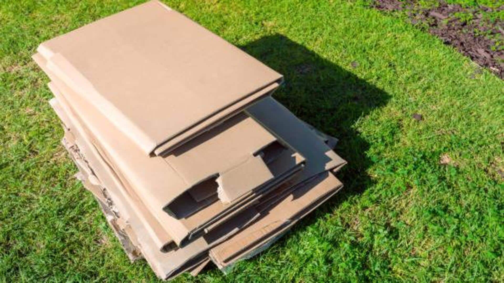 Cardboard in the garden: A secret to better soil Cardboard in the garden: A secret to better soil