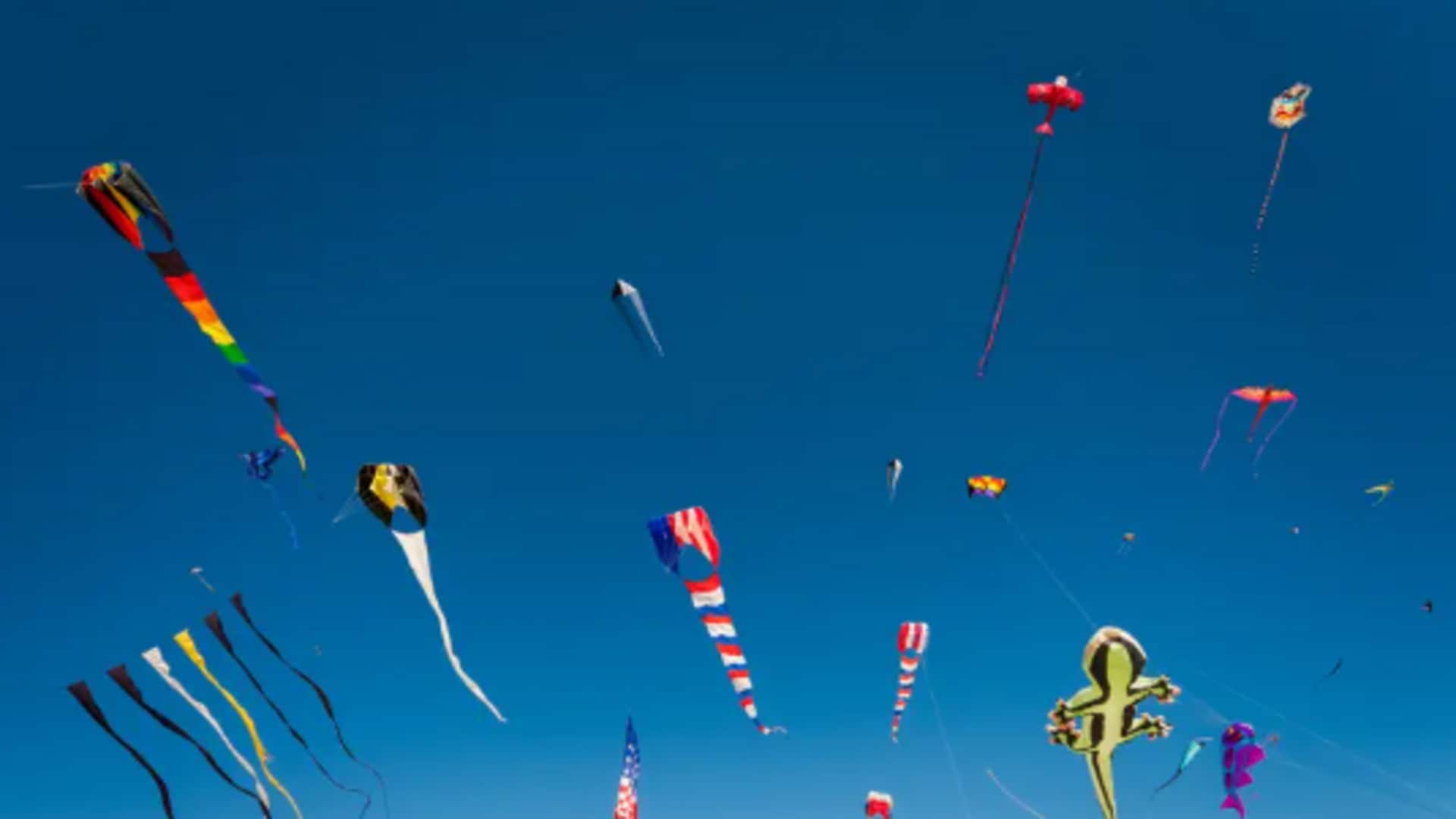 Japanese kite festivals: Facts you didn't know Japanese kite festivals: Facts you didn't know