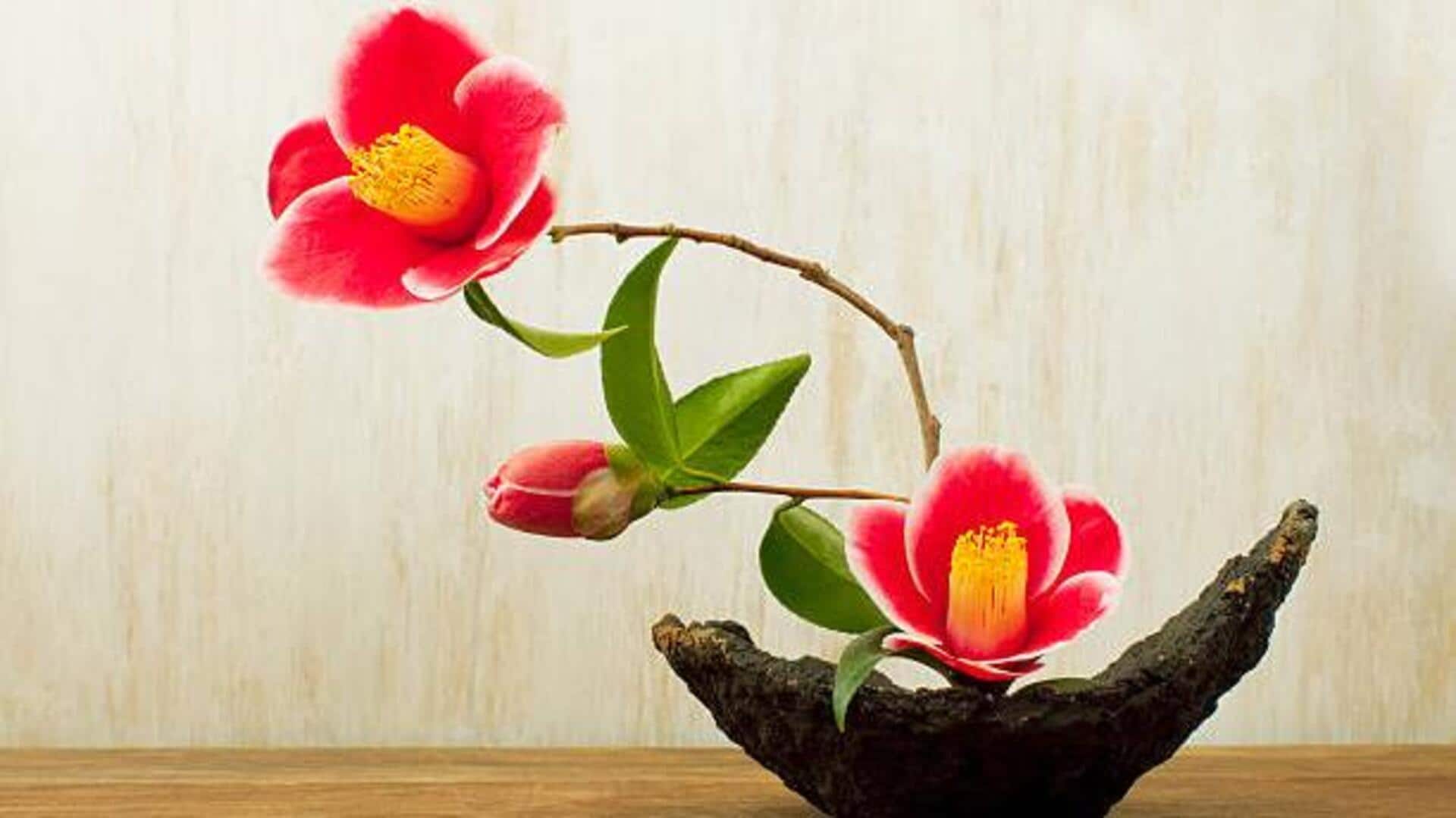 African ikebana: How to master the art