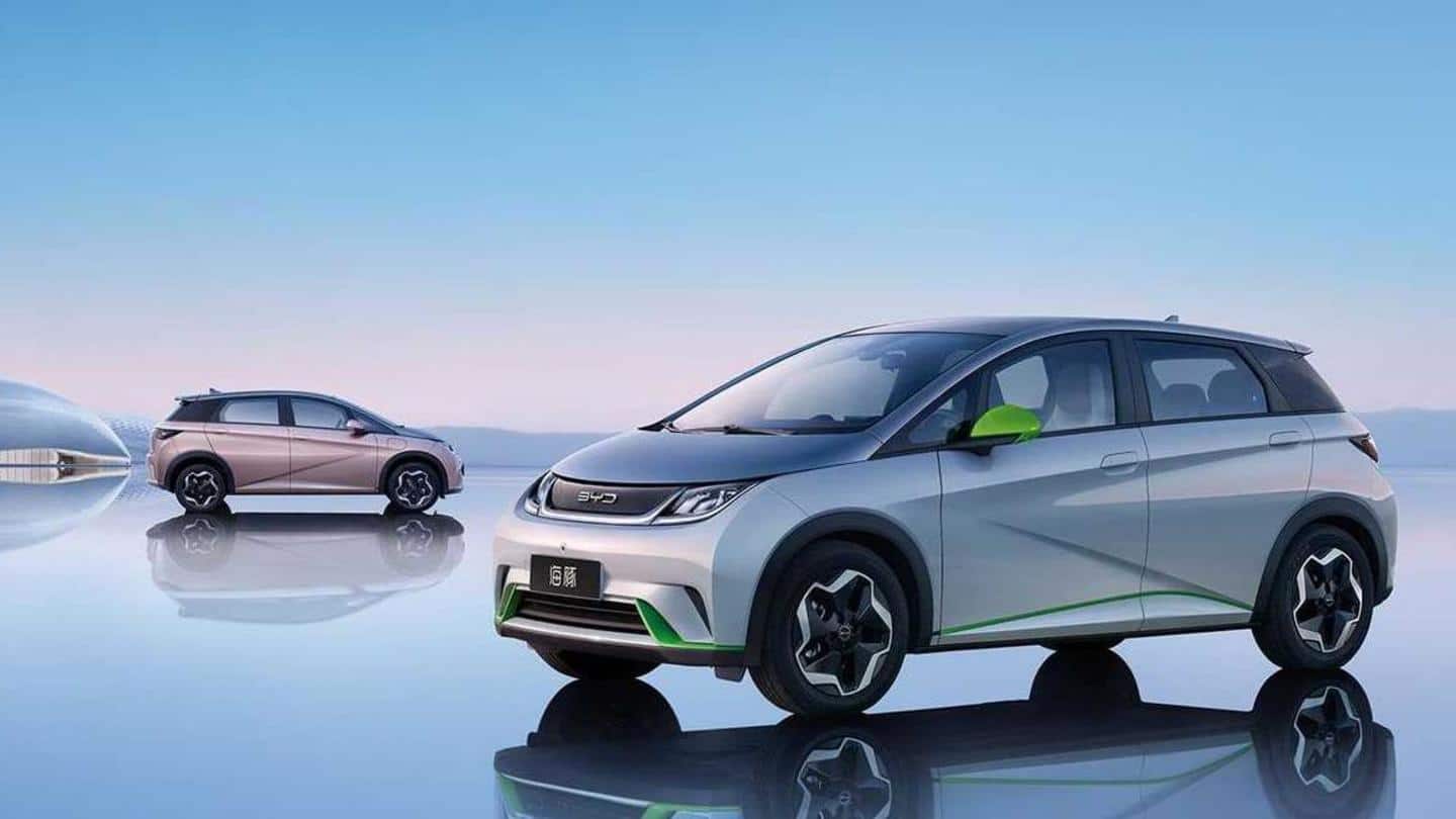 BYD Dolphin compact electric car launched in China