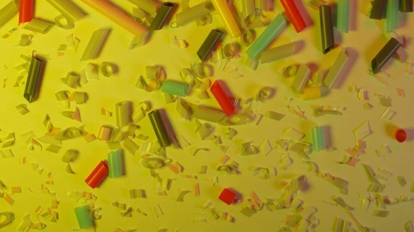 Microplastics from this biodegradable material can cause diabetes: Study Microplastics from this biodegradable material can cause diabetes: Study