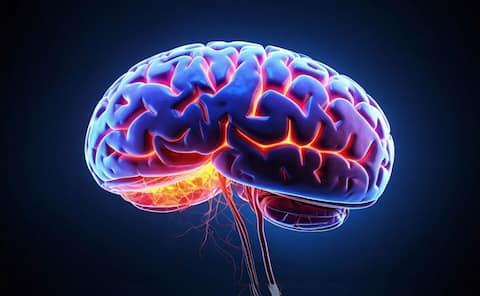 These data centers are powered by human brain cells!