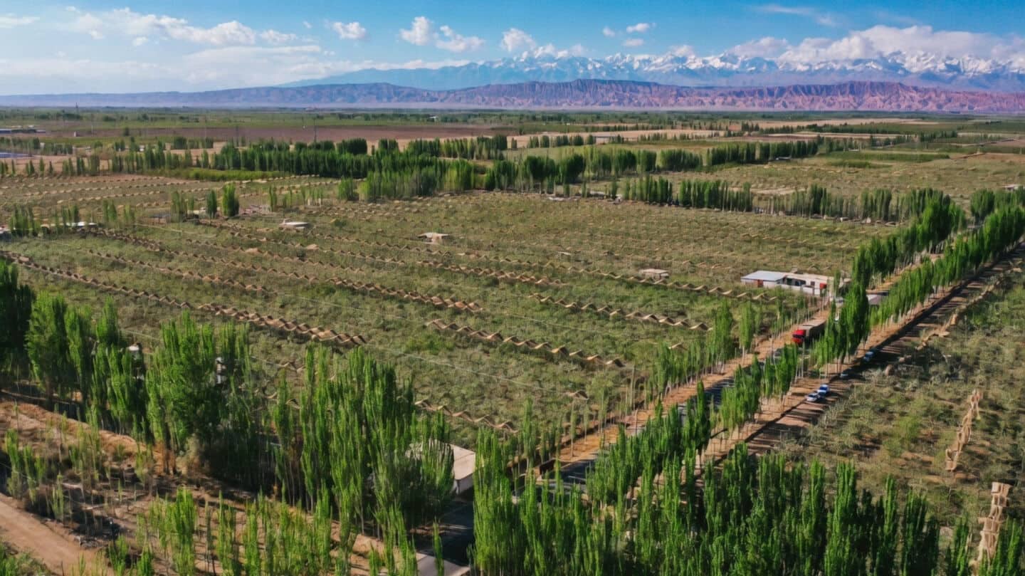 China uses tech tested on Moon to tackle desertification