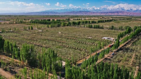 China uses tech tested on Moon to tackle desertification