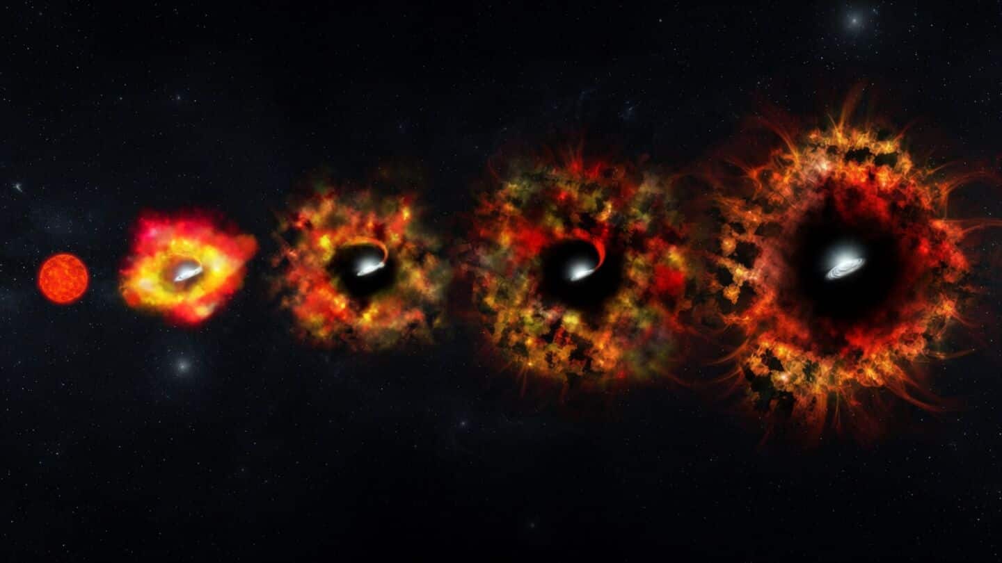 We finally know which stars turn into black holes