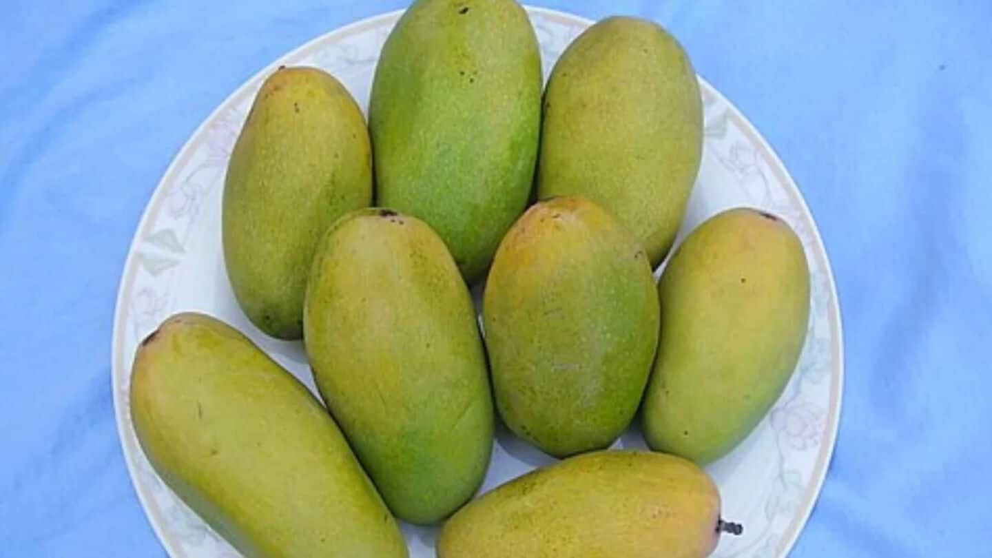 You can soon buy UP's Dussehri mangoes in Dubai You can soon buy UP's Dussehri mangoes in Dubai