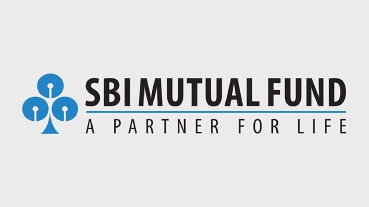 SBI MF launches first Specialised Investment Fund: Should you invest?