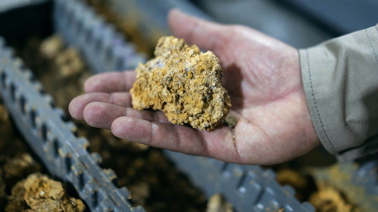 China's rare earth exports to Japan paused in June