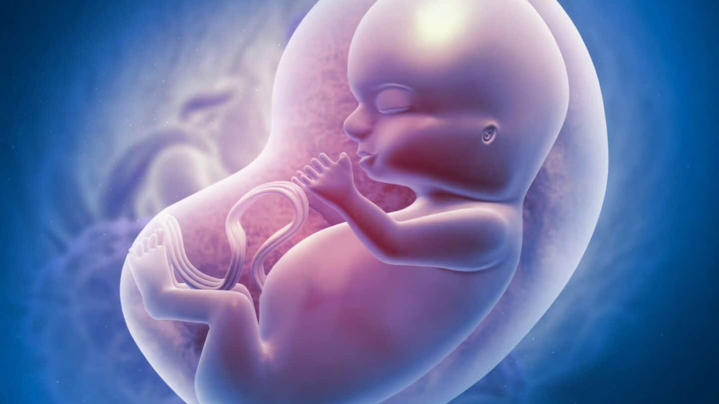 This Indian tech mimics key functions of human placenta