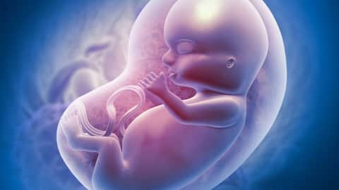 This Indian tech mimics key functions of human placenta