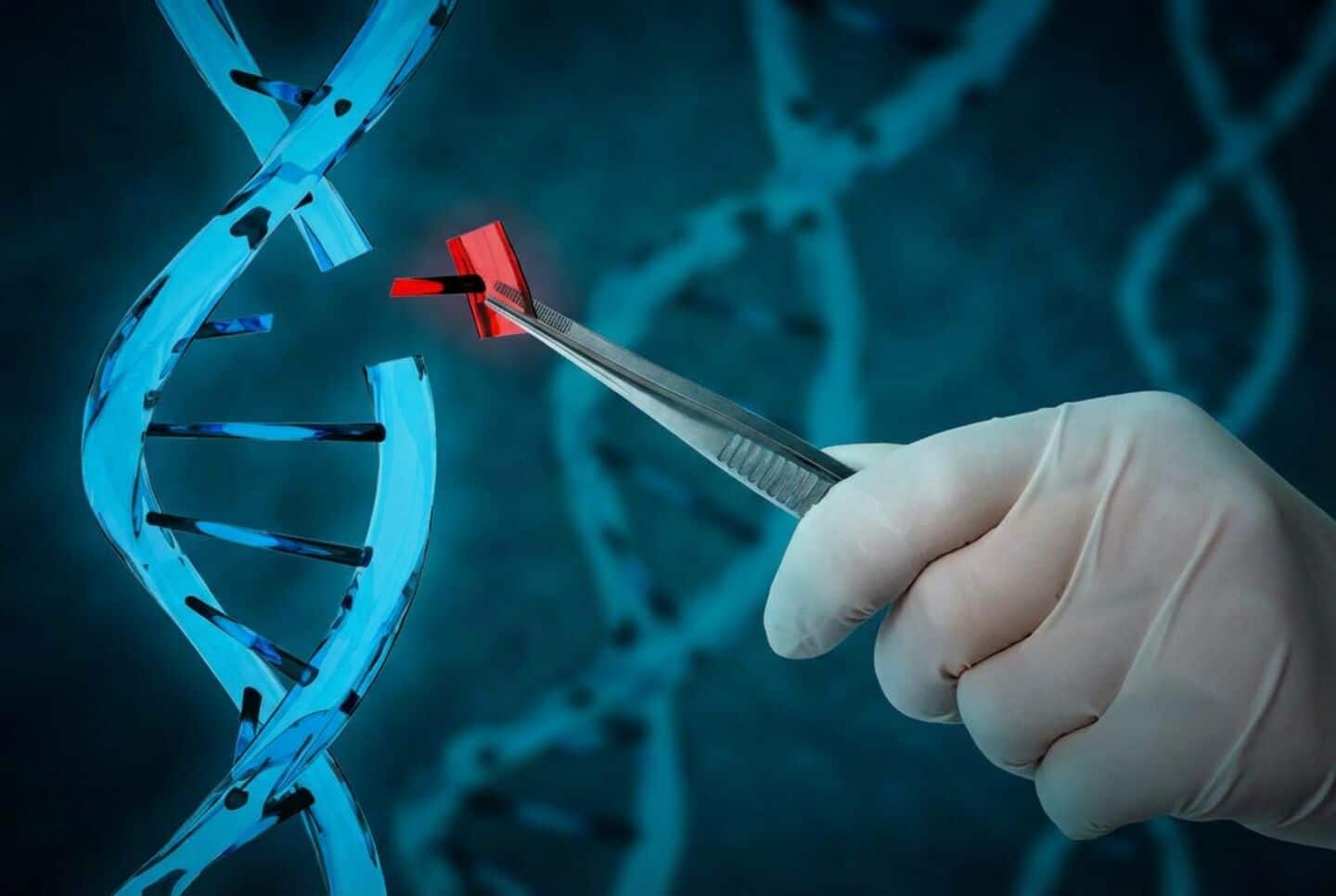 A cure for autism might be on the way