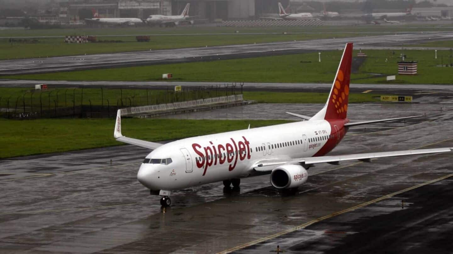 SpiceJet's shares up by 6% today: What's fueling rally? SpiceJet's shares up by 6% today: What's fueling rally?