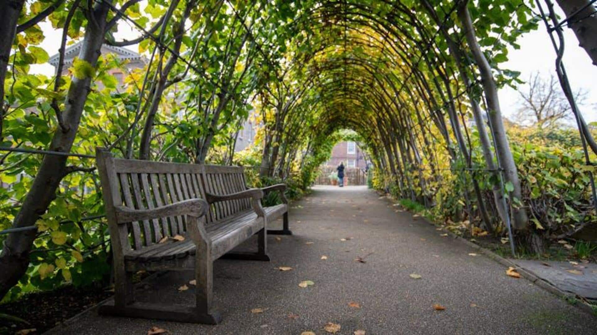 Exploring London's hidden garden havens