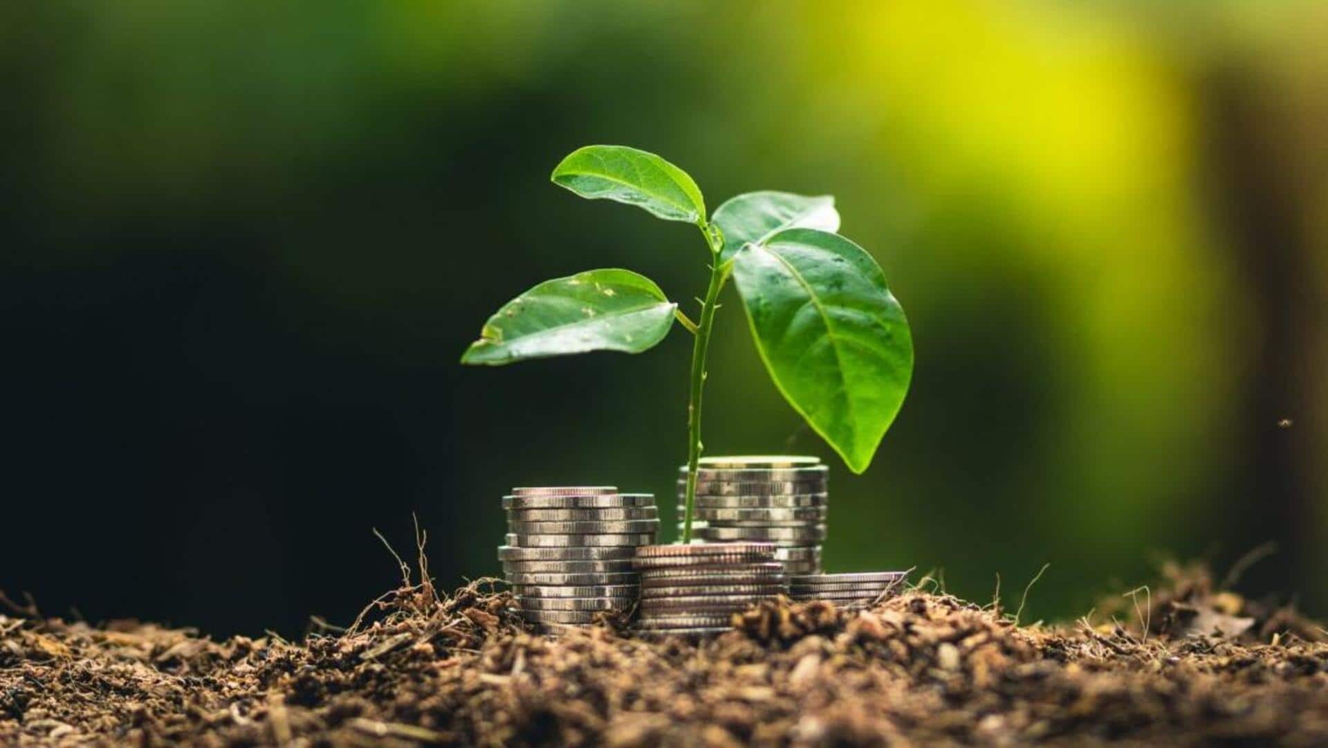 Sustainability bonds: All about this investment option