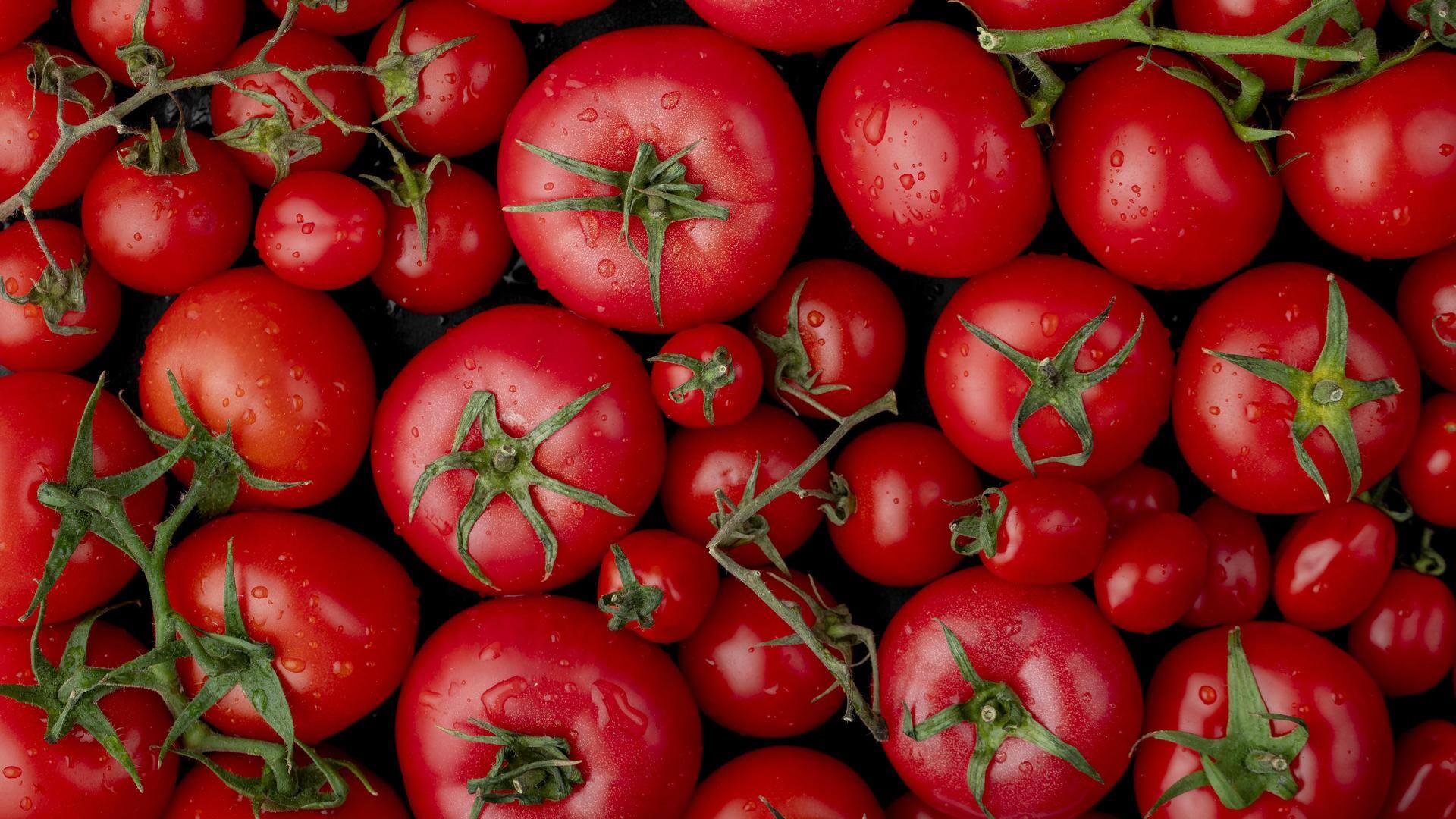 Why tomato prices doubled in days reaching Rs. 100/kg