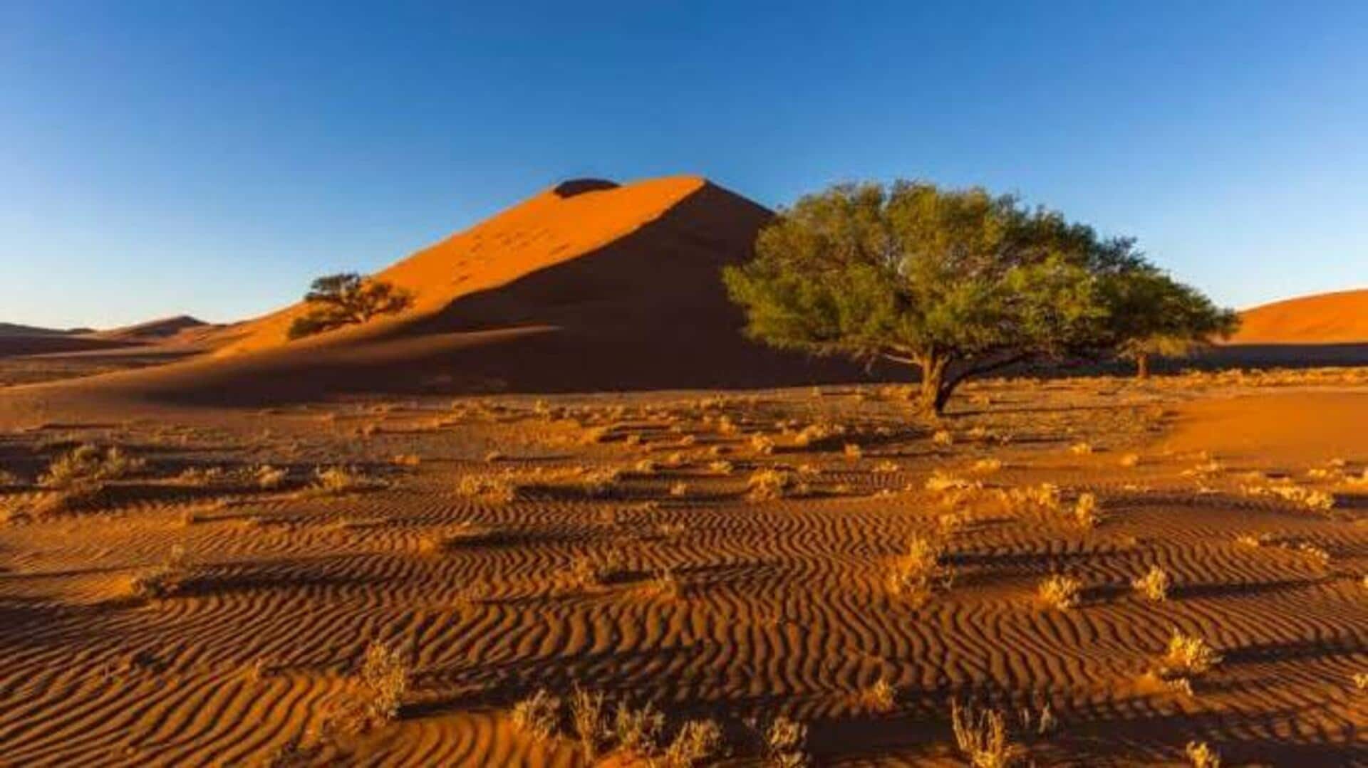 How to explore the Kalahari Desert