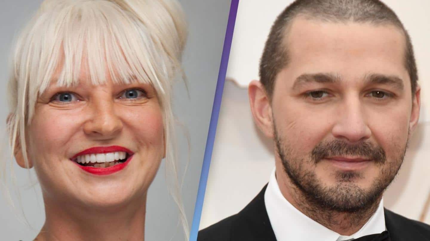 Sia supports Barnett, calls the actor 'a pathological liar' Sia supports Barnett, calls the actor 'a pathological liar'