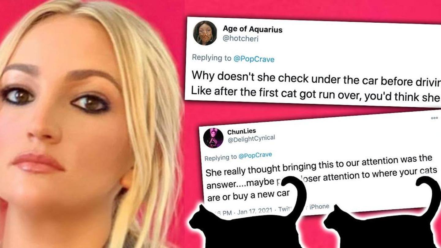 Social media trolled Spears, some accused her of killing cats Social media trolled Spears, some accused her of killing cats