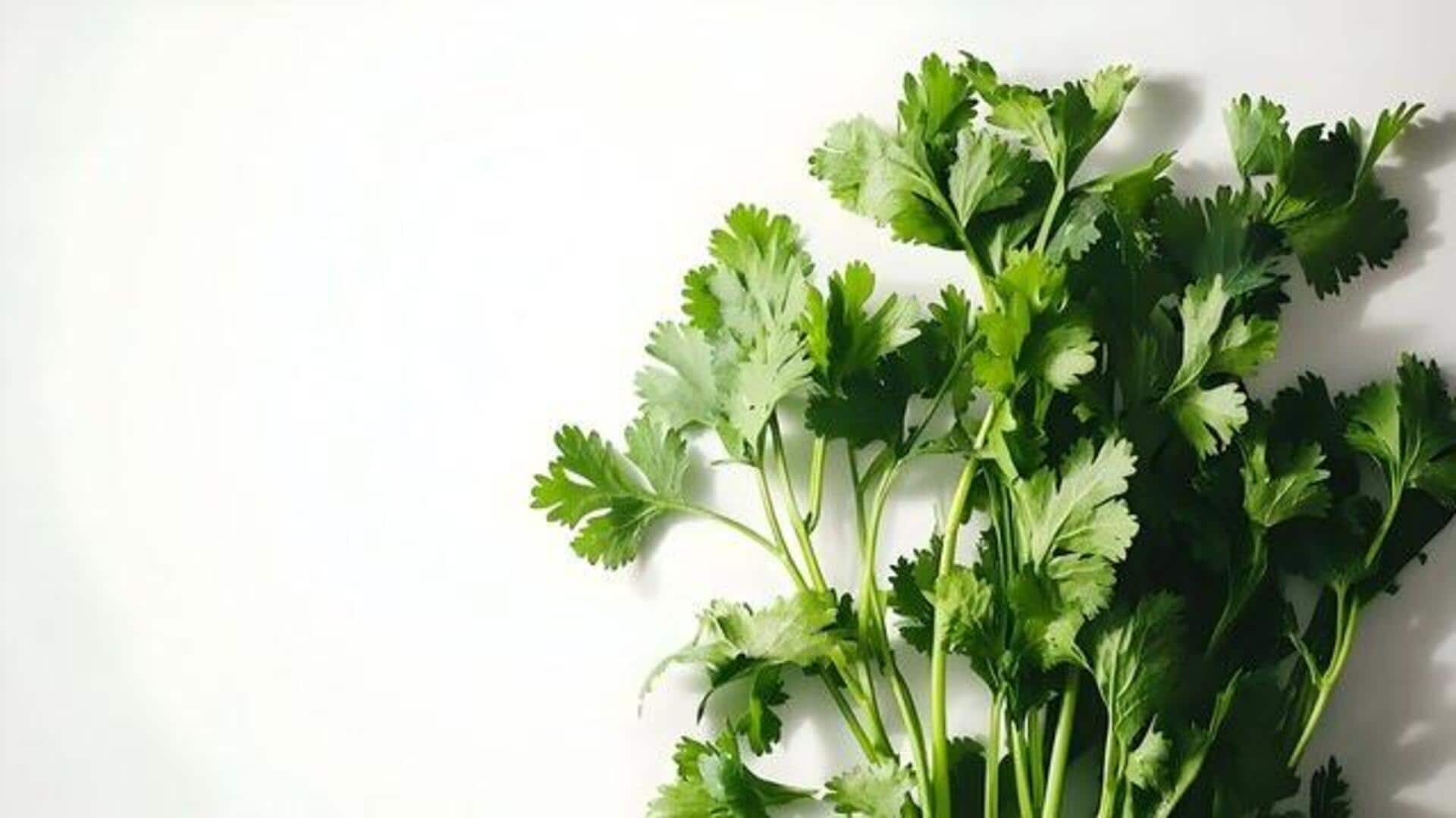 5 unique recipes featuring cilantro 5 unique recipes featuring cilantro