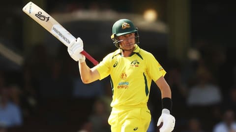 Marnus Labuschagne named Australia's One-Day domestic Player of the Year