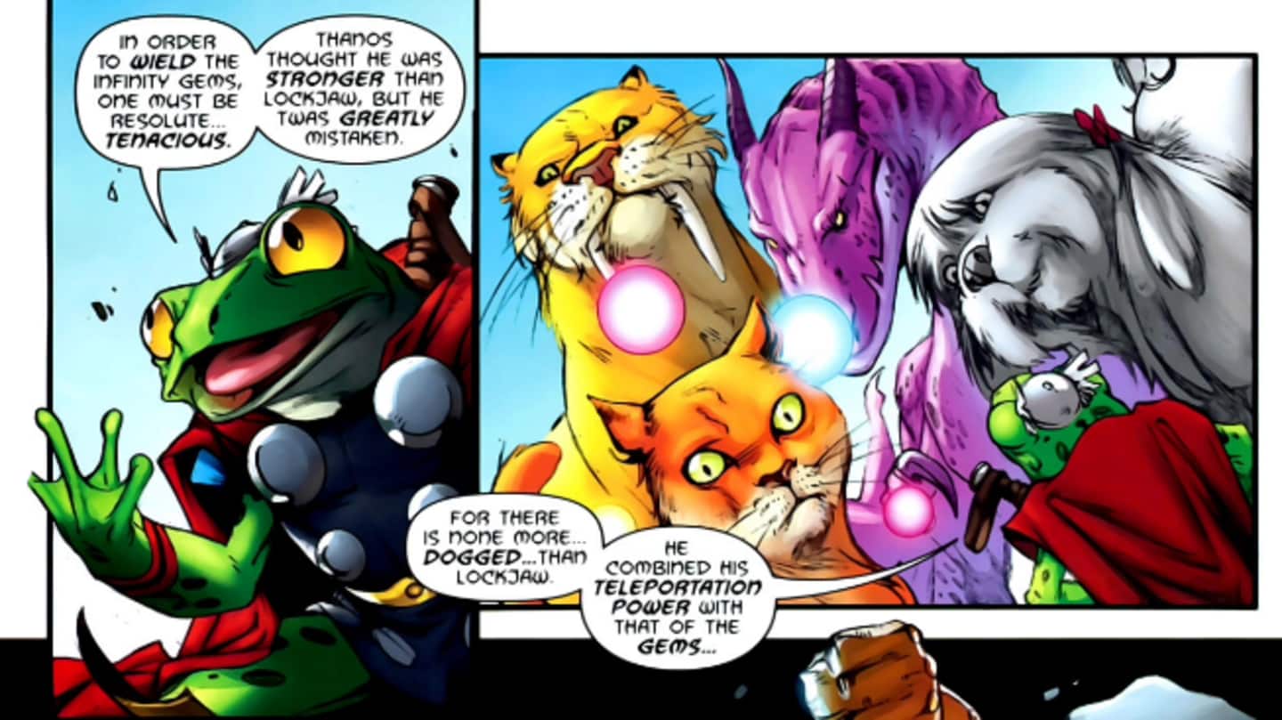 The Pet Avengers vs Thanos: The White House showdown The Pet Avengers vs Thanos: The White House showdown