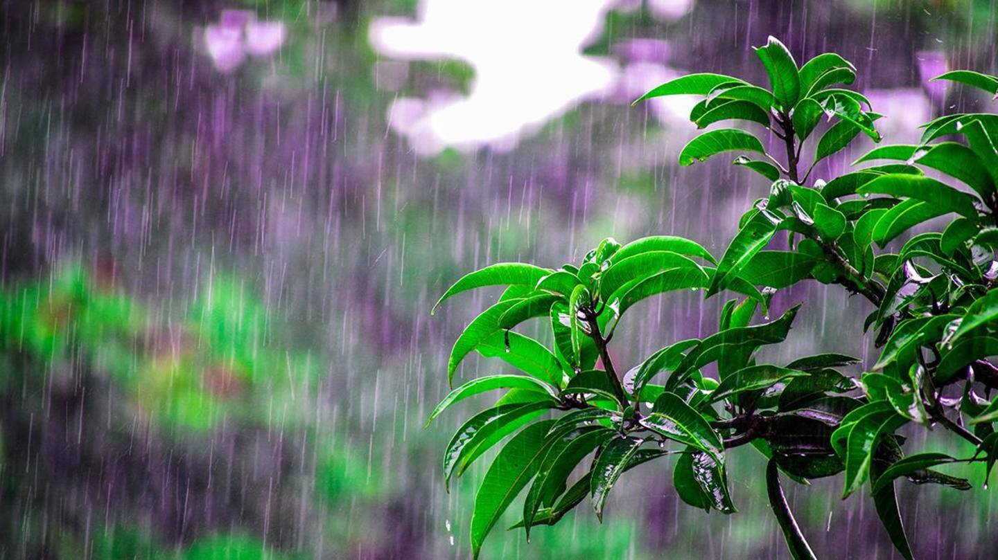 #HealthBytes: How can you boost your immunity this monsoon