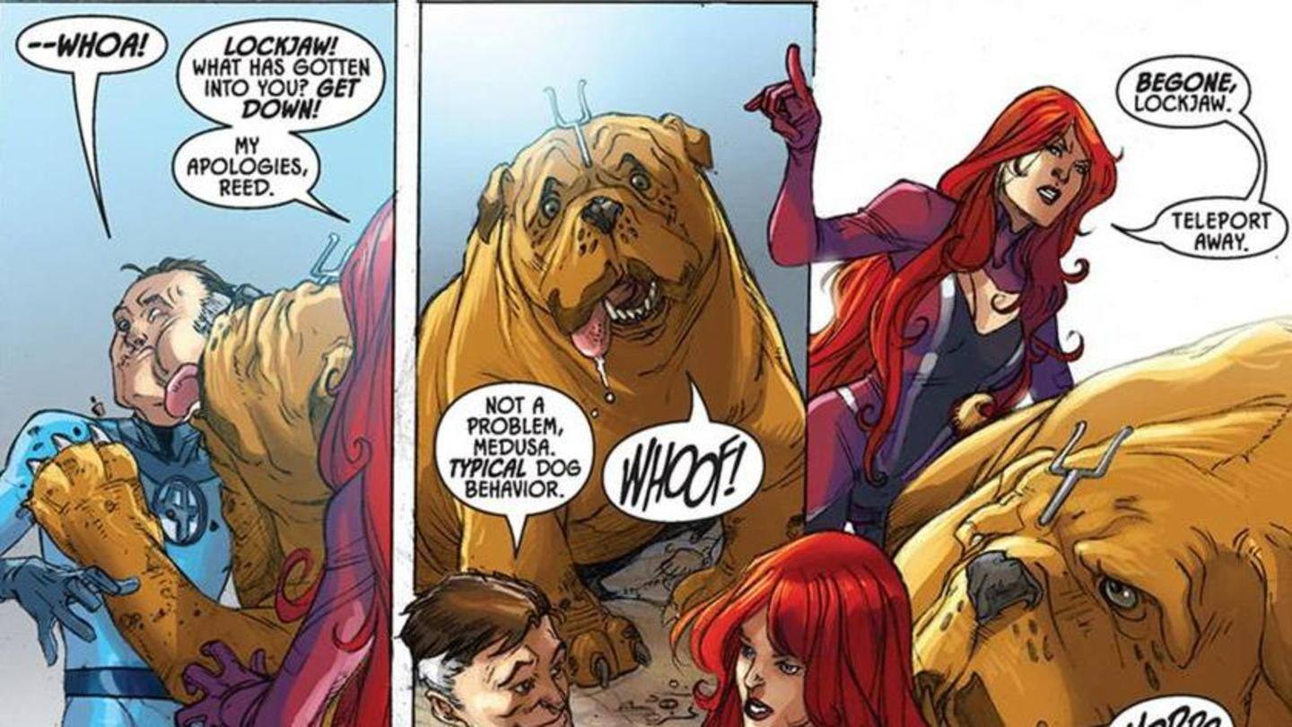 The Pet Avengers also have their own mission headquarters The Pet Avengers also have their own mission headquarters