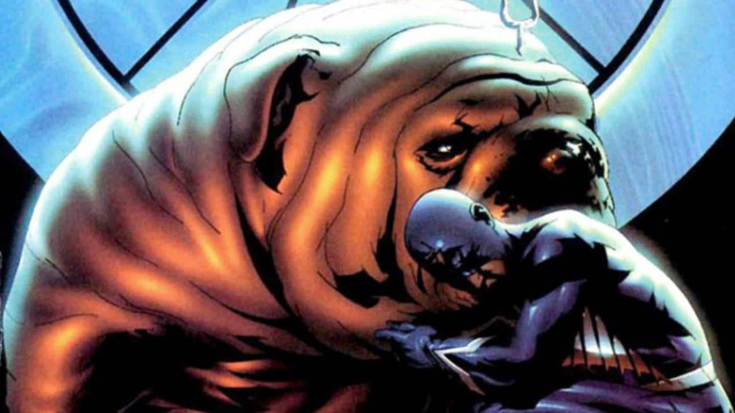 Lockjaw's quest for the Infinity Gems started this team Lockjaw's quest for the Infinity Gems started this team