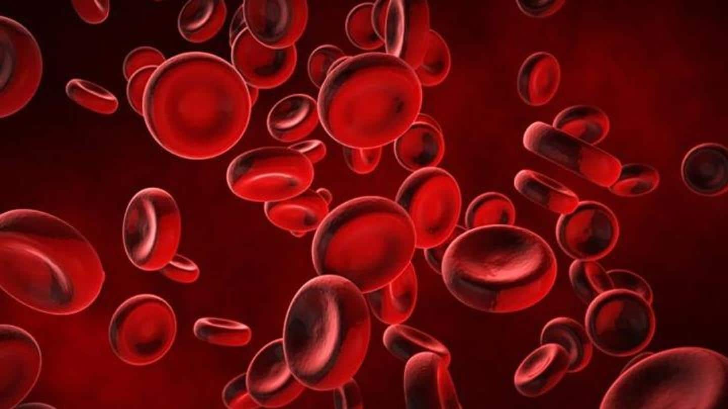 Known for its ability to purify blood, boost hemoglobin Known for its ability to purify blood, boost hemoglobin