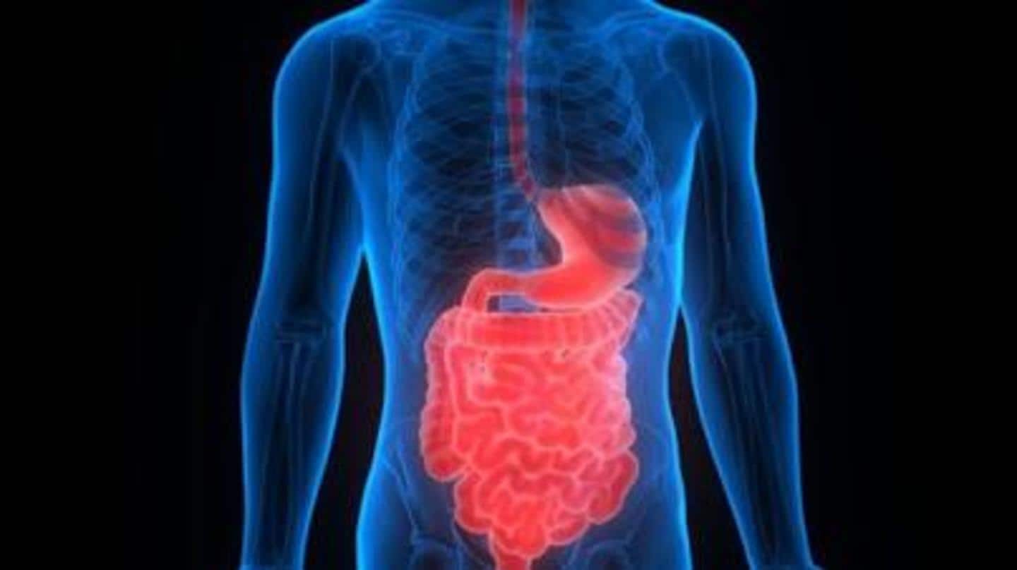 It ensures elimination of toxins that can cause weight gain It ensures elimination of toxins that can cause weight gain