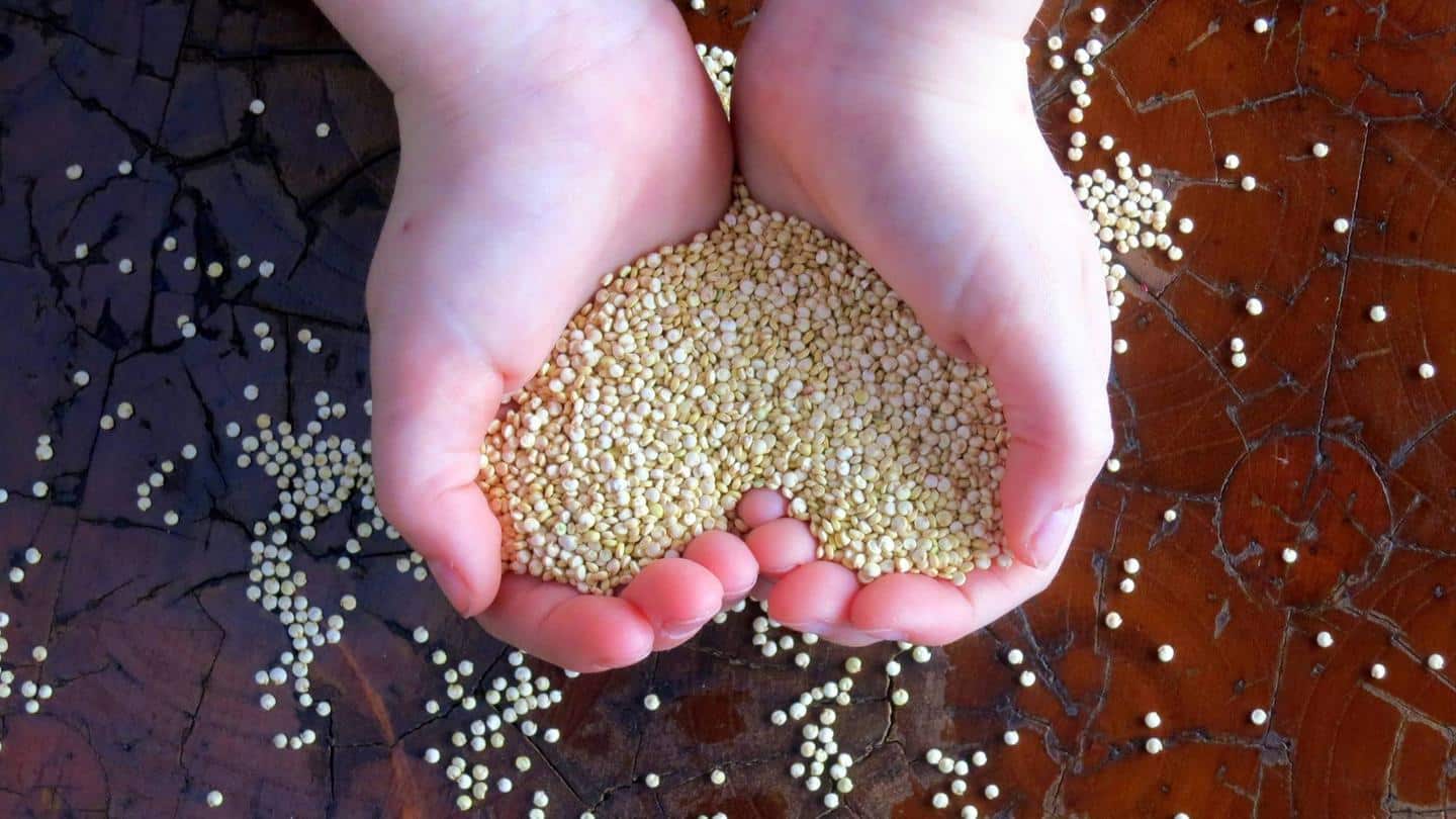 Quinoa contains large amounts of potent plant antioxidants