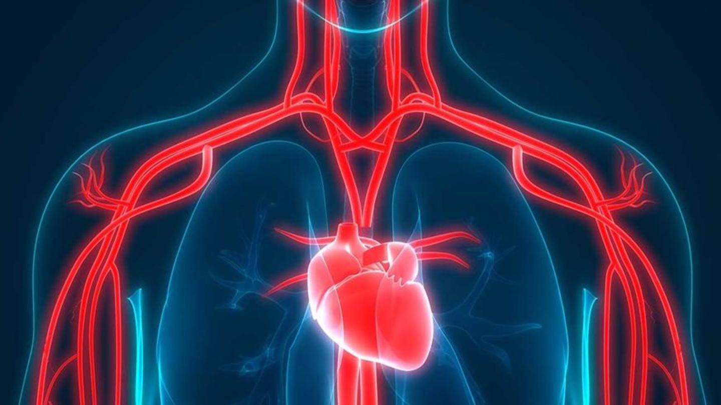 Antioxidants in onions may decrease the risk of heart issues Antioxidants in onions may decrease the risk of heart issues