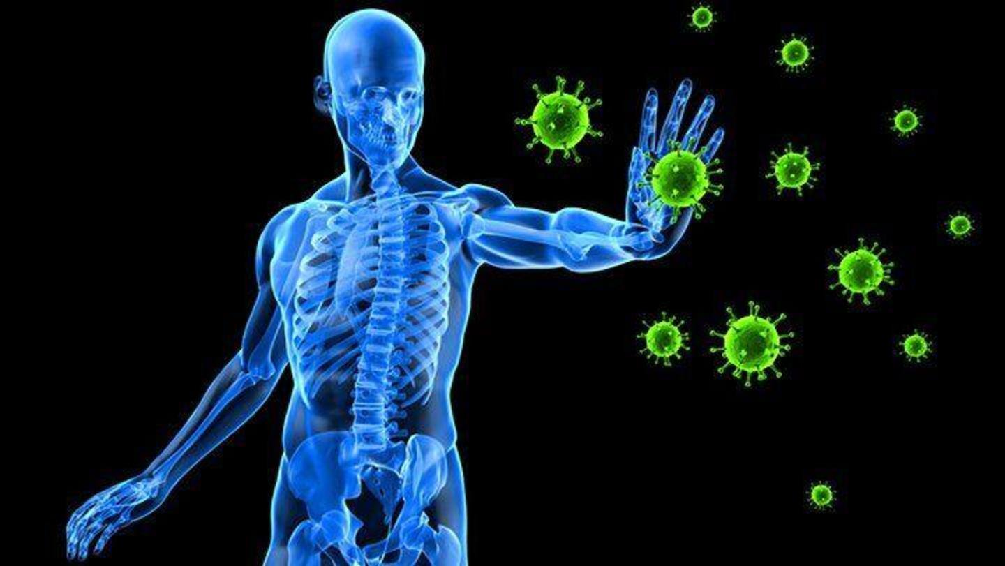 Its high antioxidant content may prevent free radicals Its high antioxidant content may prevent free radicals