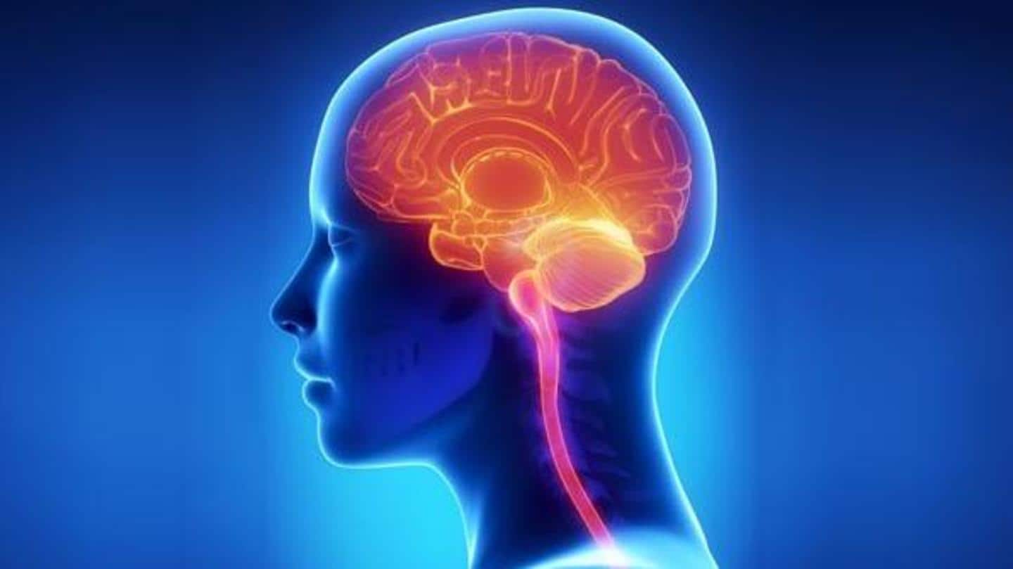 It may improve your brain's overall functions It may improve your brain's overall functions