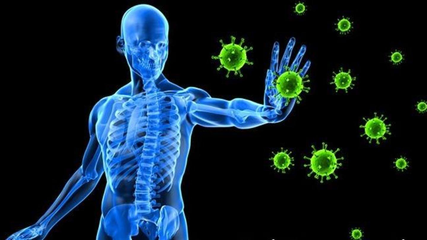 Can work as a natural immunity booster Can work as a natural immunity booster