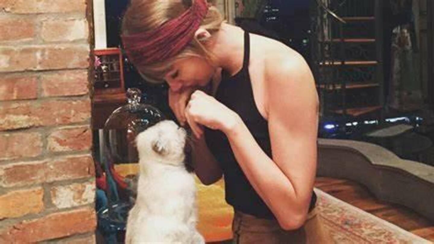 Taylor Swift's cat Olivia Benson is worth whopping Rs. 800cr!