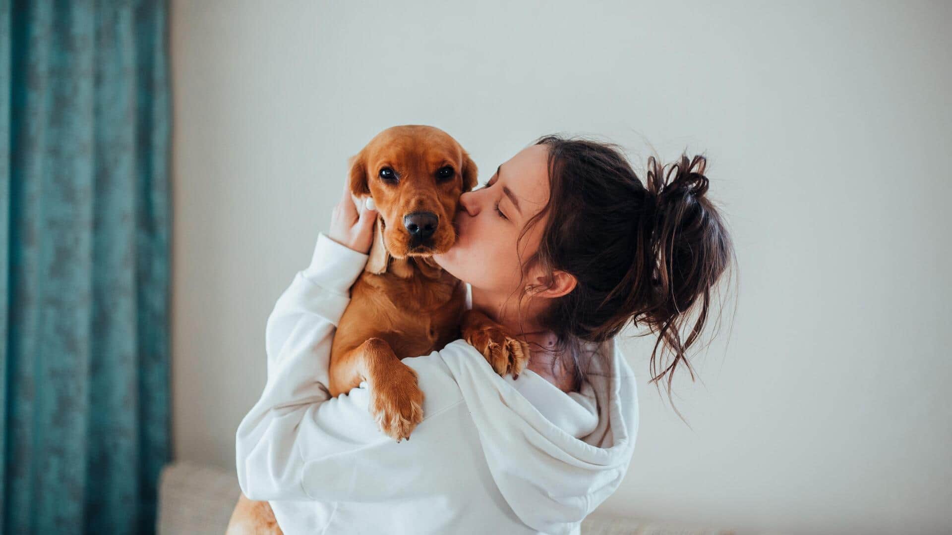 5 DIY room sprays your dog will love
