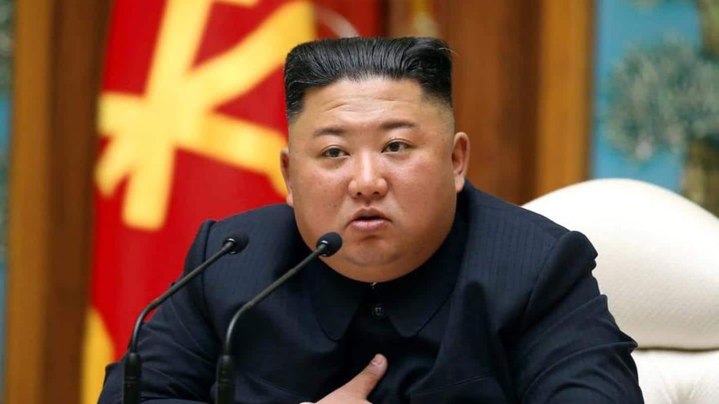 Give up pet dogs for meat: Kim Jong-un to citizens