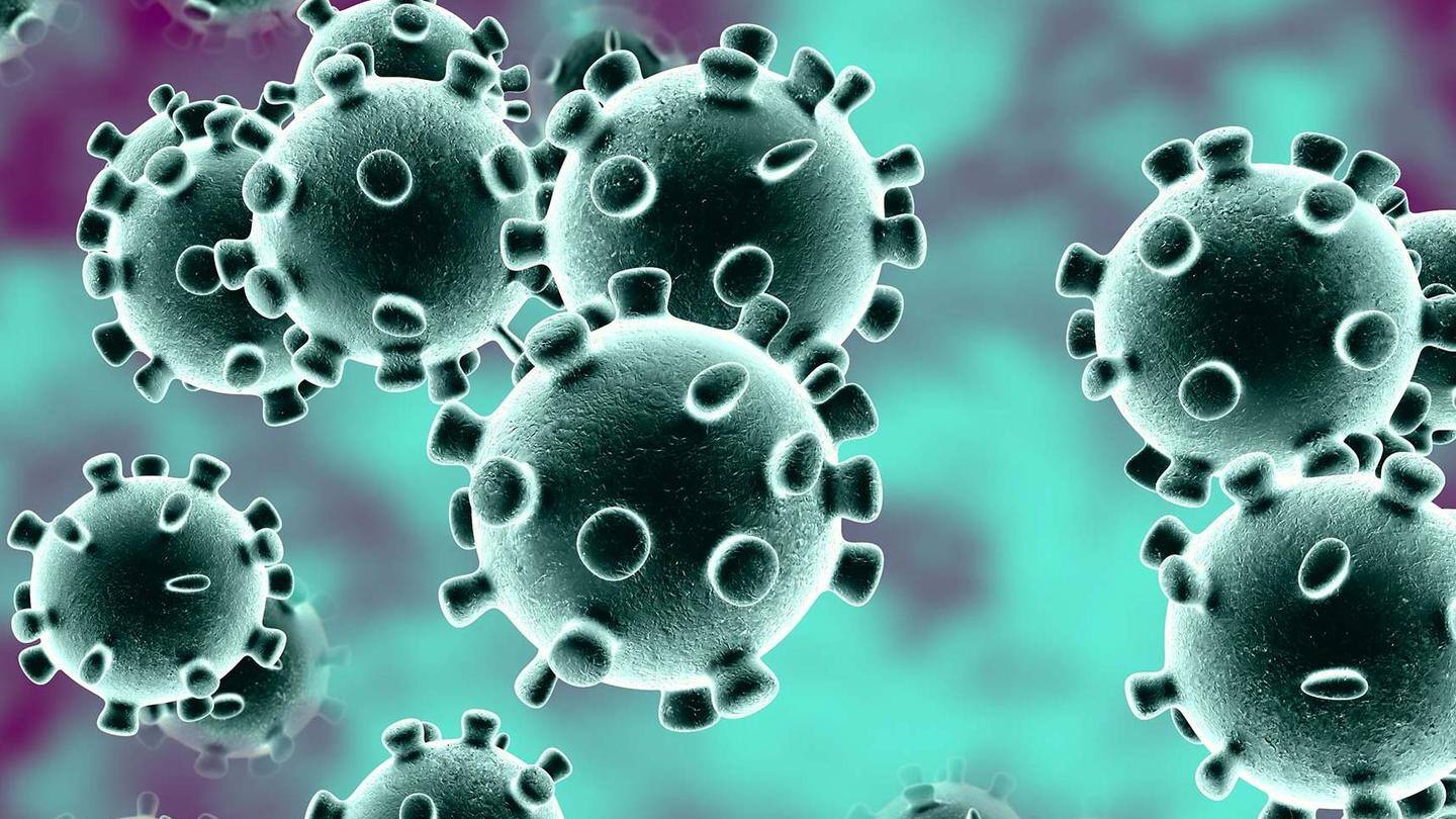 "These states account for 80% of coronavirus cases in India" "These states account for 80% of coronavirus cases in India"